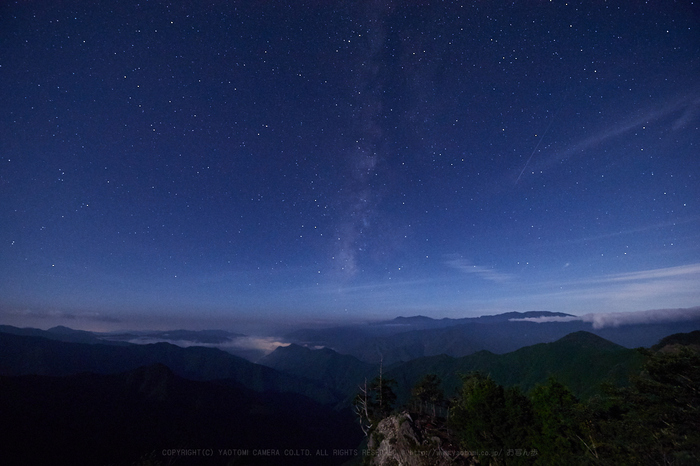 お写ん歩: SIGMA 24-70mm F2.8 DG OS HSM Artアーカイブ お写ん歩: SIGMA 24-70mm F2.8 DG OS HSM Artアーカイブ